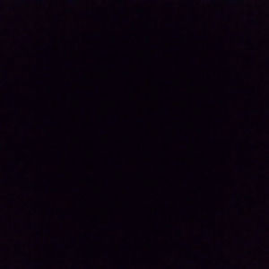 Meet your Posher, Yuna